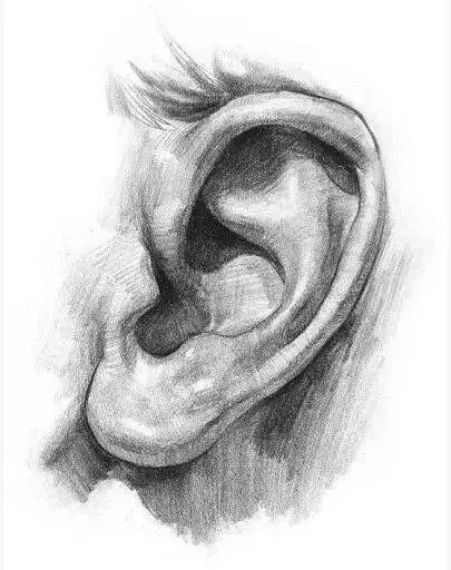 ear